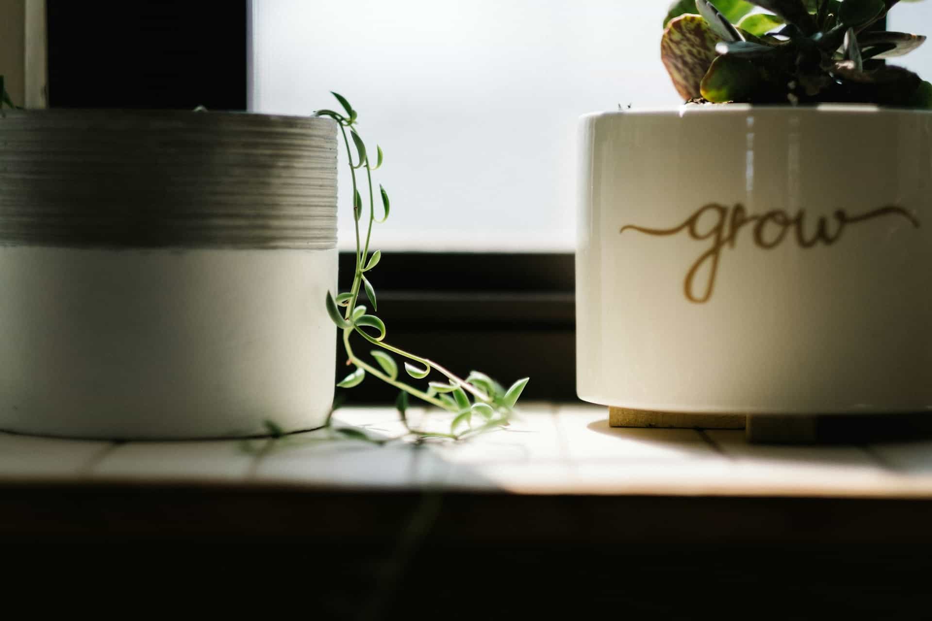 We Grow With You
